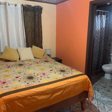 Monteverde Monkey Hostel Екстериор снимка