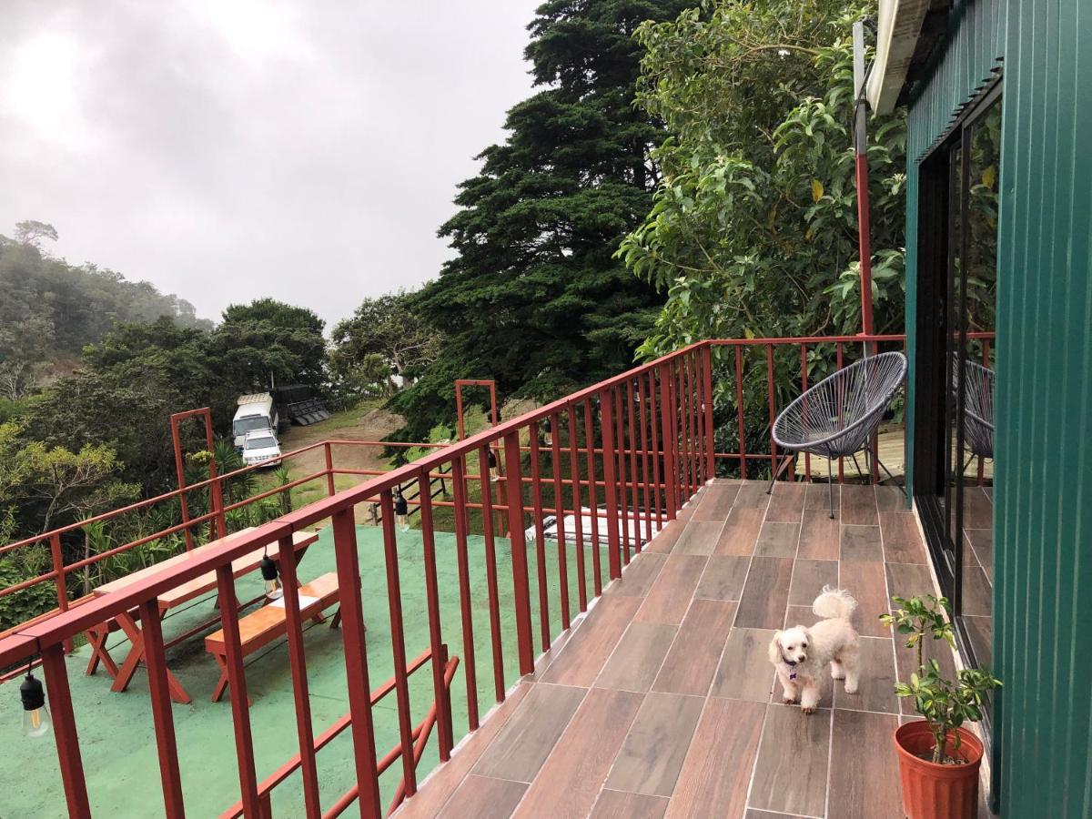 Monteverde Monkey Hostel Екстериор снимка