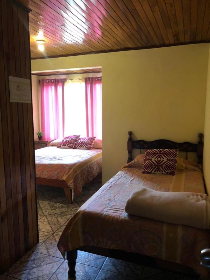 Monteverde Monkey Hostel Екстериор снимка