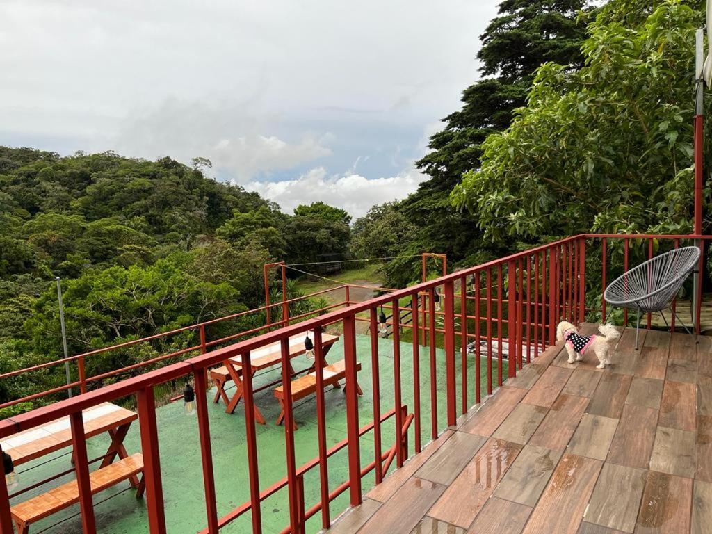 Monteverde Monkey Hostel Екстериор снимка
