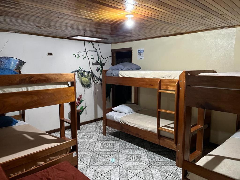 Monteverde Monkey Hostel Екстериор снимка