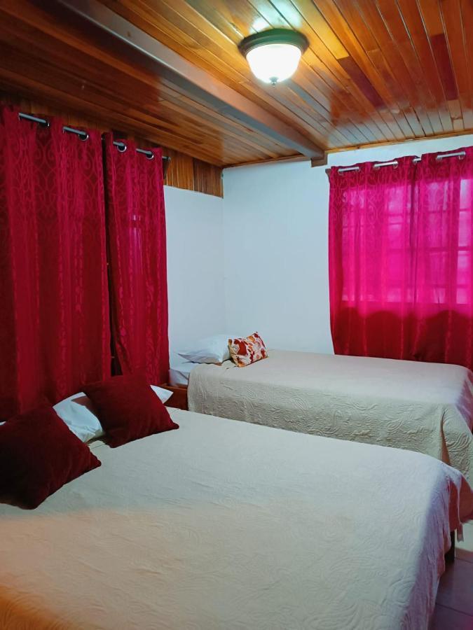 Monteverde Monkey Hostel Екстериор снимка