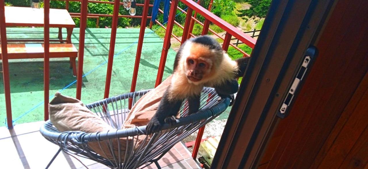 Monteverde Monkey Hostel Екстериор снимка